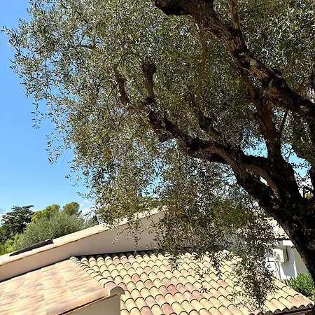Cannes Luxe, Detente Et Bien-etre Villa